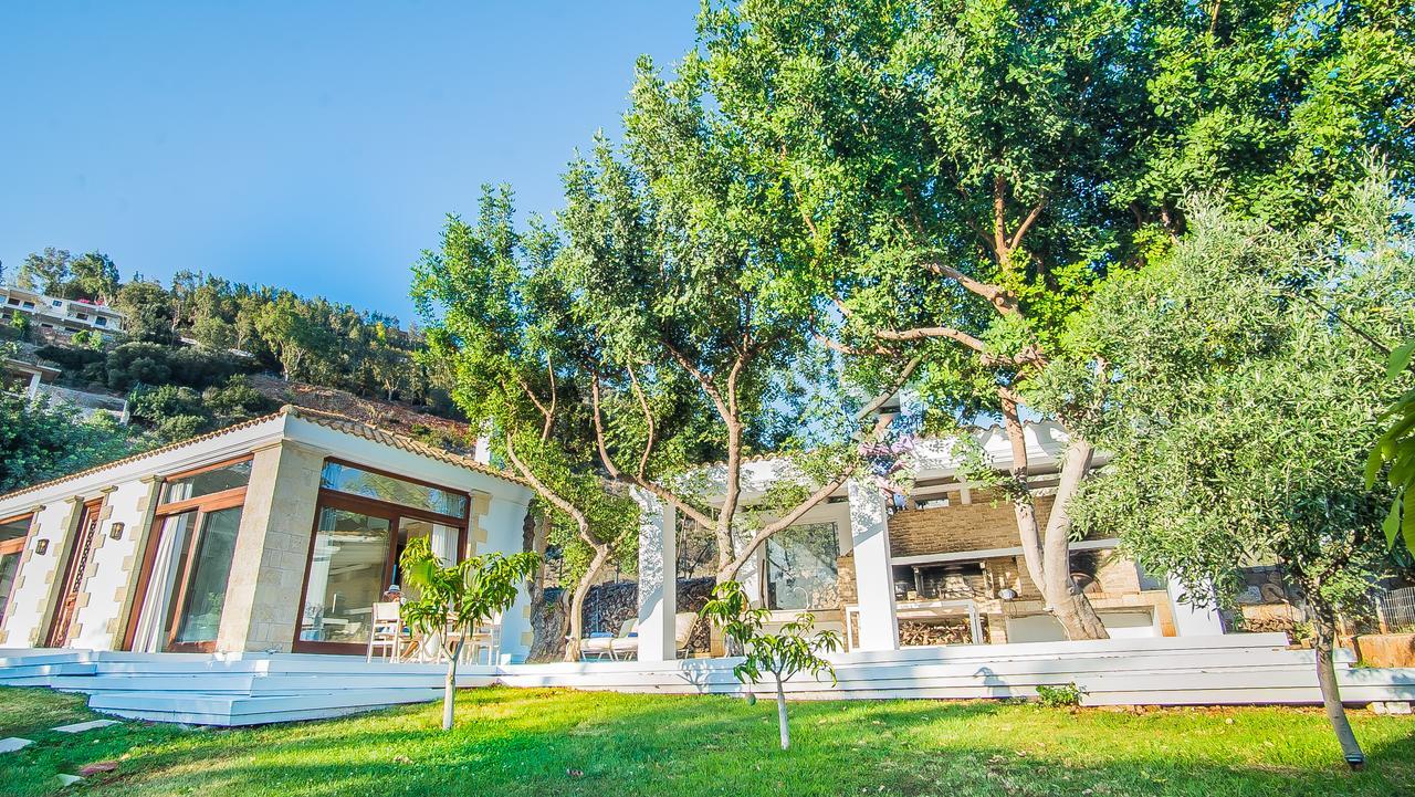 Icons Sea Of Crete Villa มาเลีย ภายนอก รูปภาพ